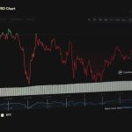 Торговые роботы: как работают, преимущества и риски